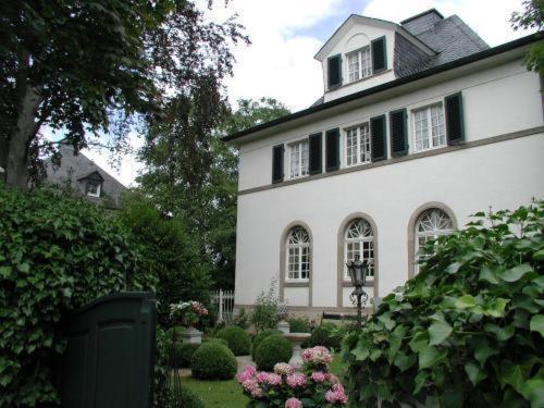 Bastgen Bed & Breakfast Otel Wittlich Dış mekan fotoğraf